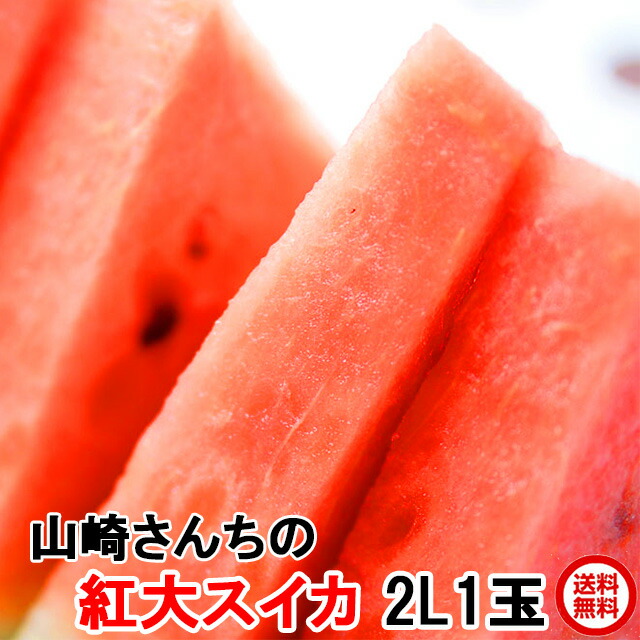 送料無料 大玉 スイカ ギフト 紅大スイカ 2L以上 1玉 すいか 西瓜 フルーツ 茨城 お取寄せ 産地直送 watermelon