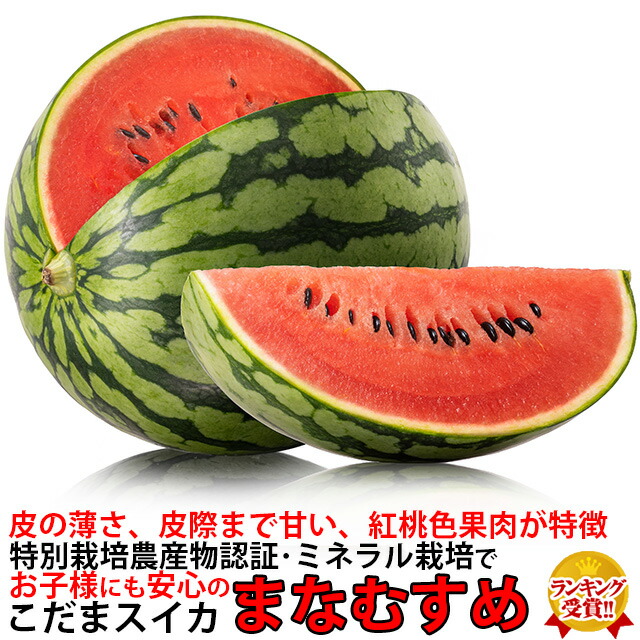 鳥取県産 すいか 大栄西瓜 無印 4Lサイズ 2玉入り （約9.5〜10kg