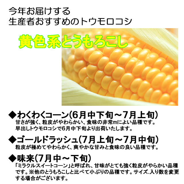 日本限定とうもろこし 3L 7本 野菜 | sos.cafe