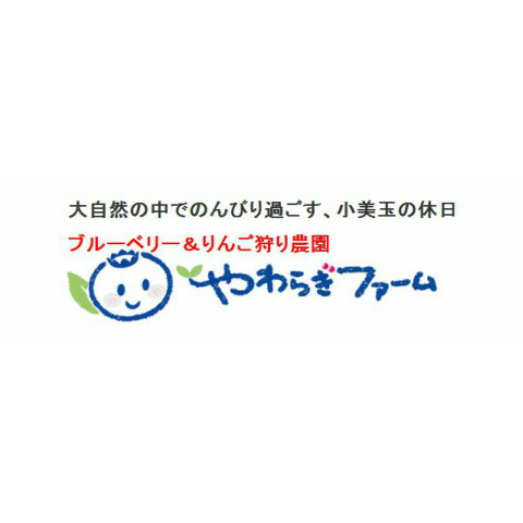 送料無料,ブルーベリー100%,ブルーベリーワイン,500ml,1本,50%使用したやわらぎ果実,720ml,1本,ジャム,3個,茨城,お取り寄せ,ギフト,やわらぎファーム