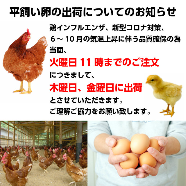 市場 卵 MS30個 やさと平飼い卵 タマゴ 安全安心 産み立て産地直送 送料無料