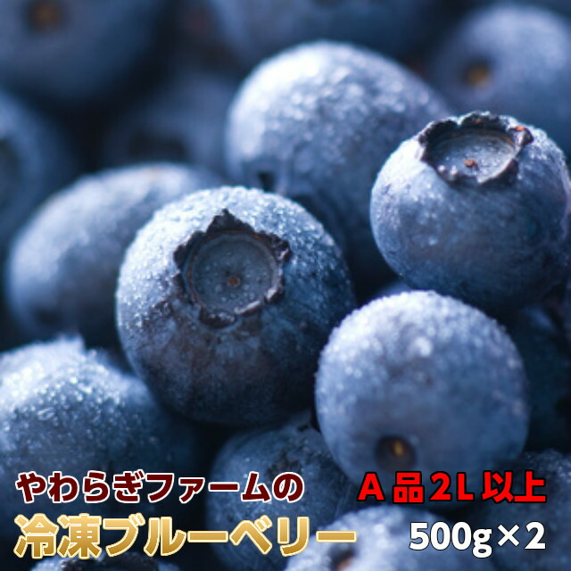 ブルーベリー  冷凍 1kg (500g×2) ギフト 贈答用 茨城県 送料無料 産地直送 食物繊維 抗酸化作用 アントシアニン