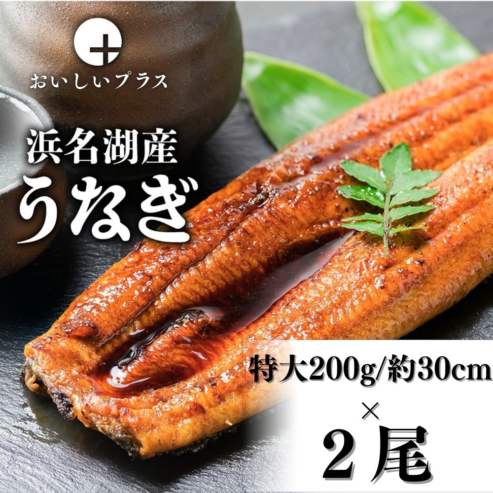 【三ツ星シェフが選ぶ！】贈答用 浜名産うなぎ 特大1尾200g×2尾セット 4人前 特大サイズ約30センチ 長焼き 蒲焼き 鰻 脂たっぷり 無添加 冷凍 ギフト 国産 プレゼント たれ 山椒付き 化粧箱入り 夏ギフト 父の日 高級 御年賀 お歳暮 土用の丑の日 送料無料 おいしいプラス