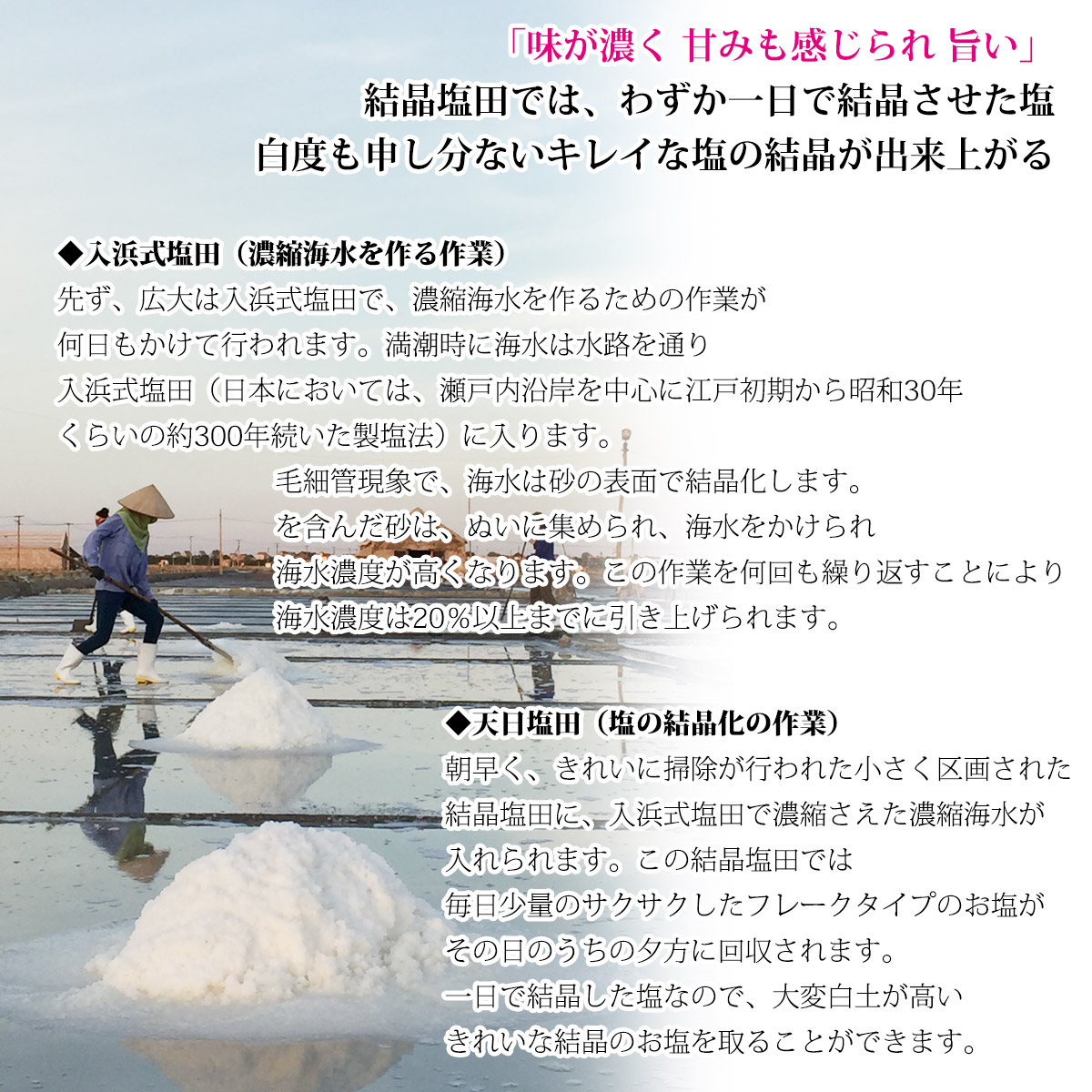 白松 ゲアンの古式天日塩 500g × 1ケース 20袋 粗塩タイプ 入浜式塩田 天日塩田 しお 食塩 海水 ベトナム ゲアン省産 海外産 平袋 お塩  【即納！最大半額！】