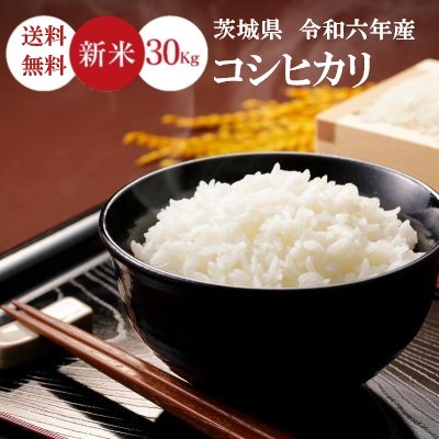 楽天市場】【9月17日以降順次発送】新米 令和6年産 米 20Kg 送料無料 無洗米【茨城県産 コシヒカリ 20Kg】お米 玄米 白米 こめ コメ  精米《北海道・九州・沖縄・離島は送料無料ライン対象外》 : Oisii Okome 玄米工房