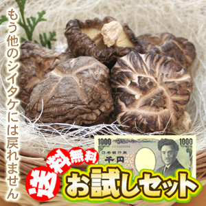大分産原木干ししいたけどんこ65ｇおためし原木椎茸セット！しいたけ好きもニッコリの1000円ポッキリ