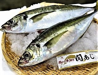 楽天市場 夏はアジが旬 佐多岬天然一本釣りの新鮮な関さばor関アジの厚切り刺身盛り 大分県物産館