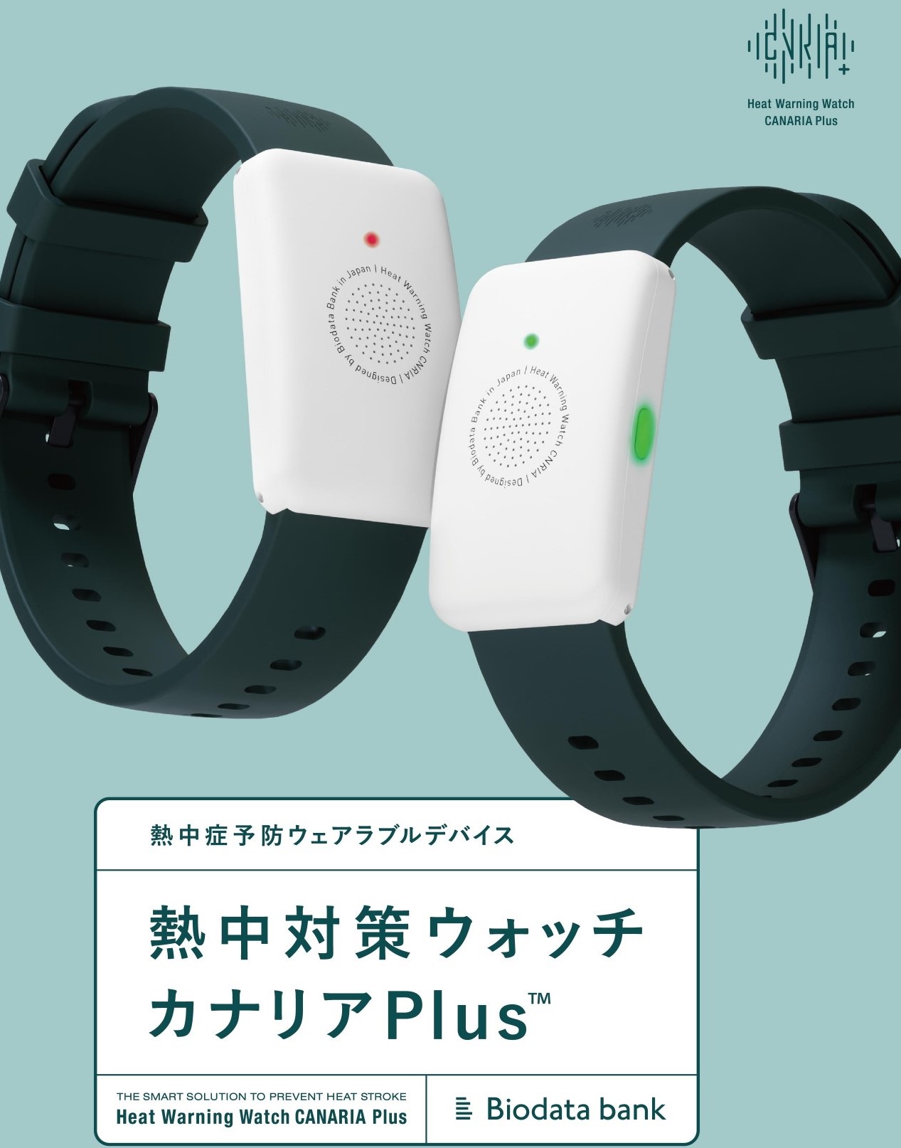 【マラソン期間中ポイント5倍】熱中対策ウォッチ　カナリアPlus　電池交換不要 通信不要 操作簡単 防塵 防水 日本製　ゆうパケット便画像