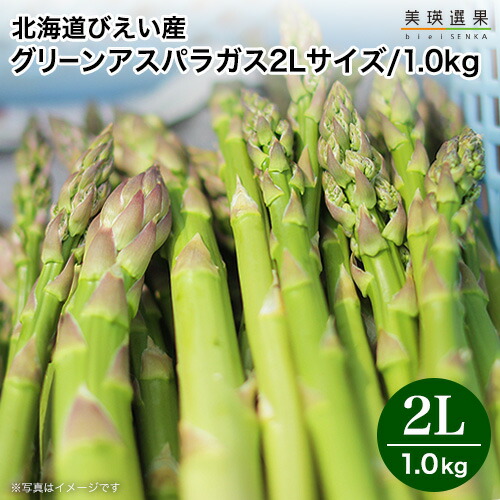【マラソン期間中ポイント5倍】美瑛  アスパラガス びえい産 ｜北海道 美瑛産 露地グリーン アスパラ ＜ 2Lサイズ/1kg(500g×2)＞【5月中旬より順次出荷開始予定】（クール便）美瑛選果 北海道 お取り寄せ新鮮 産地直送 楽天