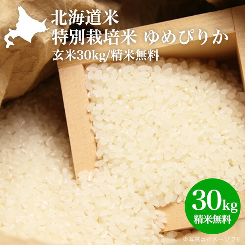 楽天市場】新米 令和6年 白米 送料無料 お米 特A｜北海道米 プチ