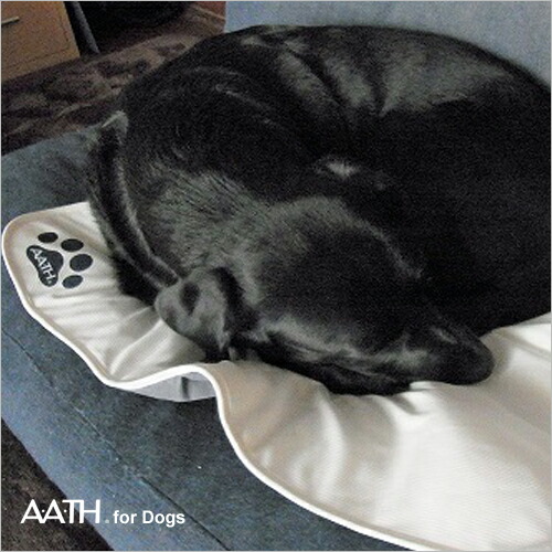 交換無料 A A Th For Dogs リカバリースリーピングマット S 小型犬ケージサイズ グレー クリーム サックス ネイビー オンヨネ d S メール便 代引 日時指定不可 Whitesforracialequity Org