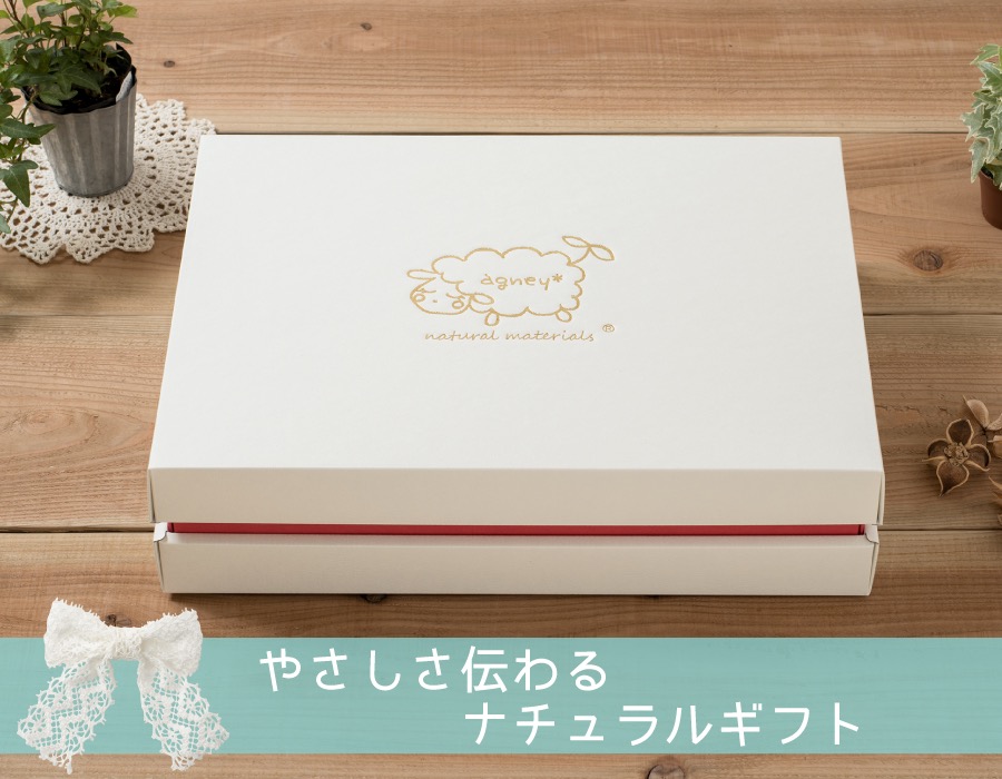 agneyアグニーお食い初め箱膳セットモダンタイプ共通【名入れ無し】