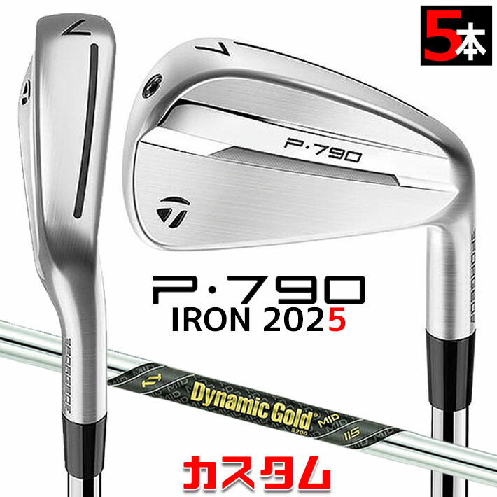 メーカーカスタムクラブ テーラーメイド P790 2025 アイアン 5本セット(#6-PW) 右用 Dynamic Gold MID 115 スチールシャフト 日本正規品 TaylorMade 87,725円
