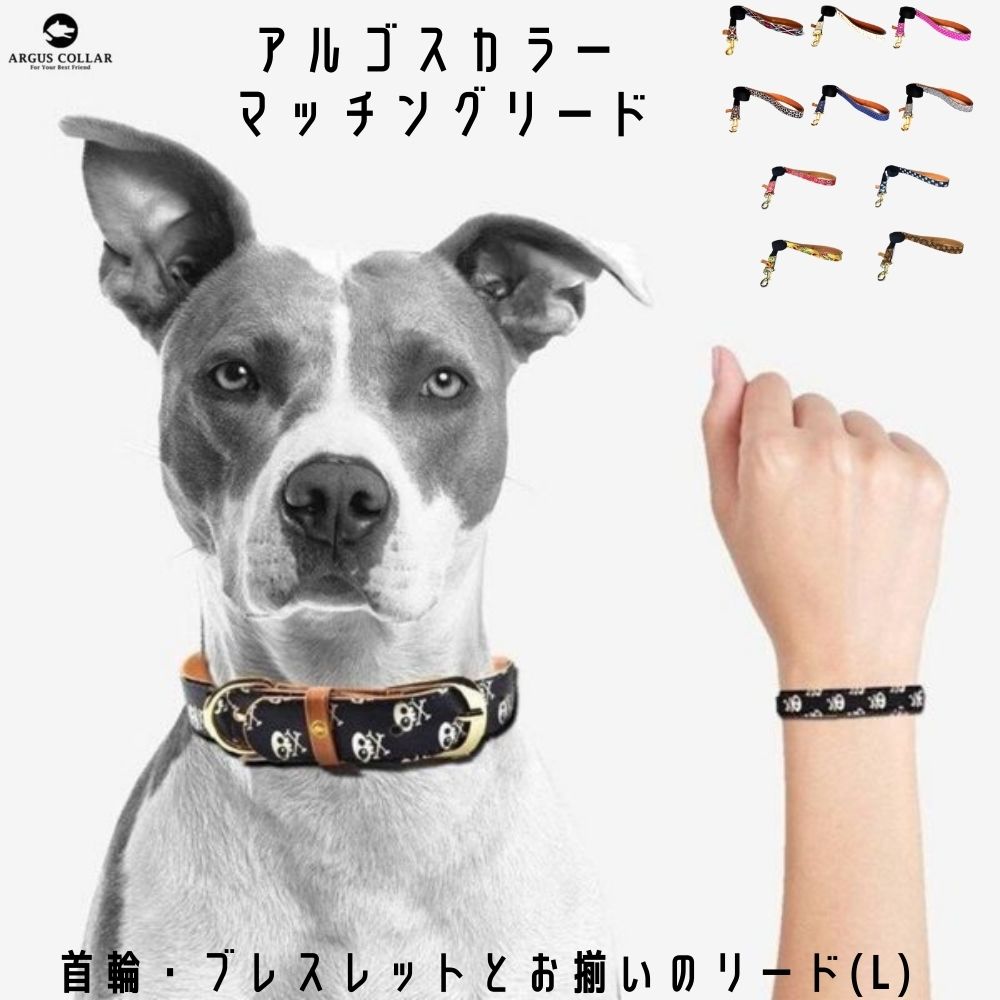 楽天市場 Arguscollar L フレンドシップカラー マッチングリード 幅 2 5cm 長さ 1cm アルゴスカラー ヴィーガンレザー ビーガンレザー 犬用 リード 首輪 おしゃれ かわいい ブランド 犬用 リード 犬のリード リーシュ 送料無料 革 オジコペット