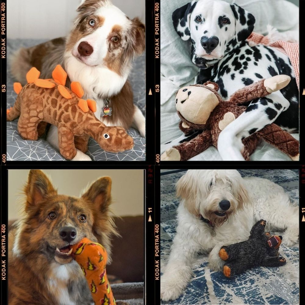 楽天市場 今だけ 500 1000円offクーポンあり Mighty マイティー マイティボール 犬用 おもちゃ ぬいぐるみ 丈夫で長持ち ラージ 壊れない 頑丈 丈夫 噛むおもちゃ Tuffys 犬のおもちゃ 耐久度10 オジコペット