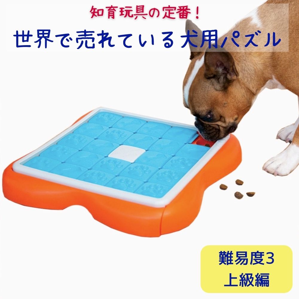 楽天市場 早い者勝ち5 オフクーポン 正規販売店 犬用 知育玩具 パズル 難易度3 Challenge Slider チャレンジスライダー トリーツゲーム チャレンジスライダー おもちゃ 犬用 知育玩具 知育玩具 知育トイ えさ 餌 ノーズワーク 餌入れ Nina Ottoson ニーナオットソン