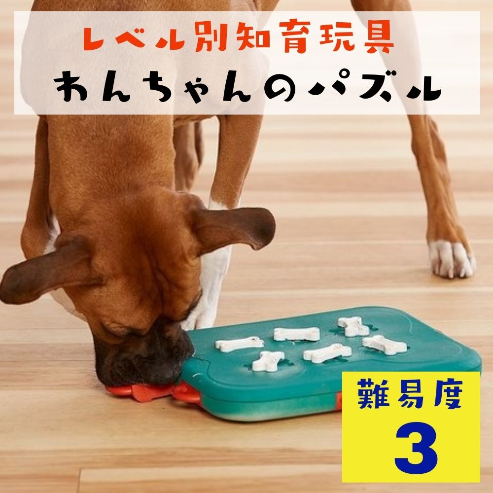 ニーナオットソン　知育玩具　dog twister level3