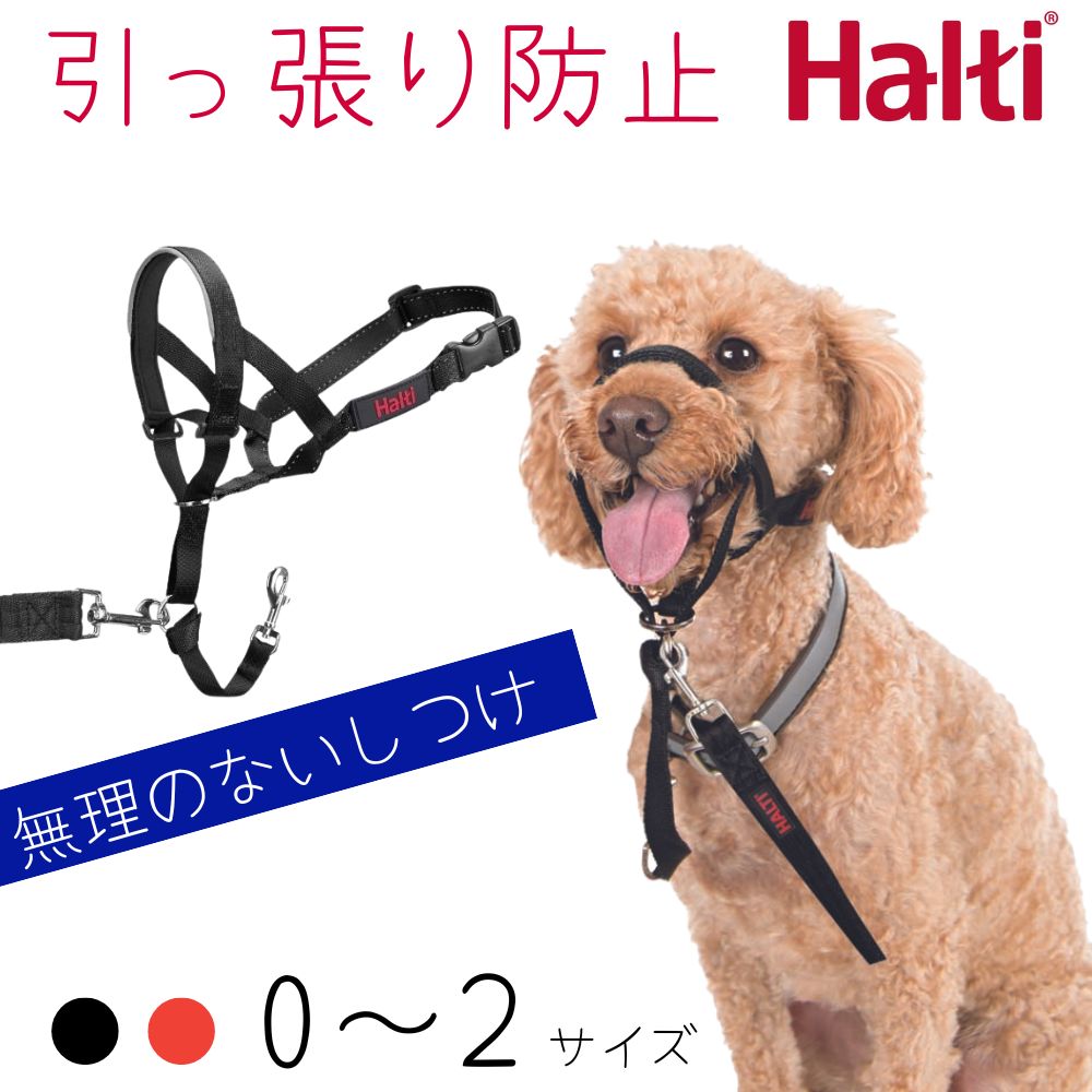 【楽天市場】引っ張り防止 安全快適 ピッタリフィットのヘッドカラー Halti ハルティー [サイズ02] 小型犬/中型犬：オジコペット