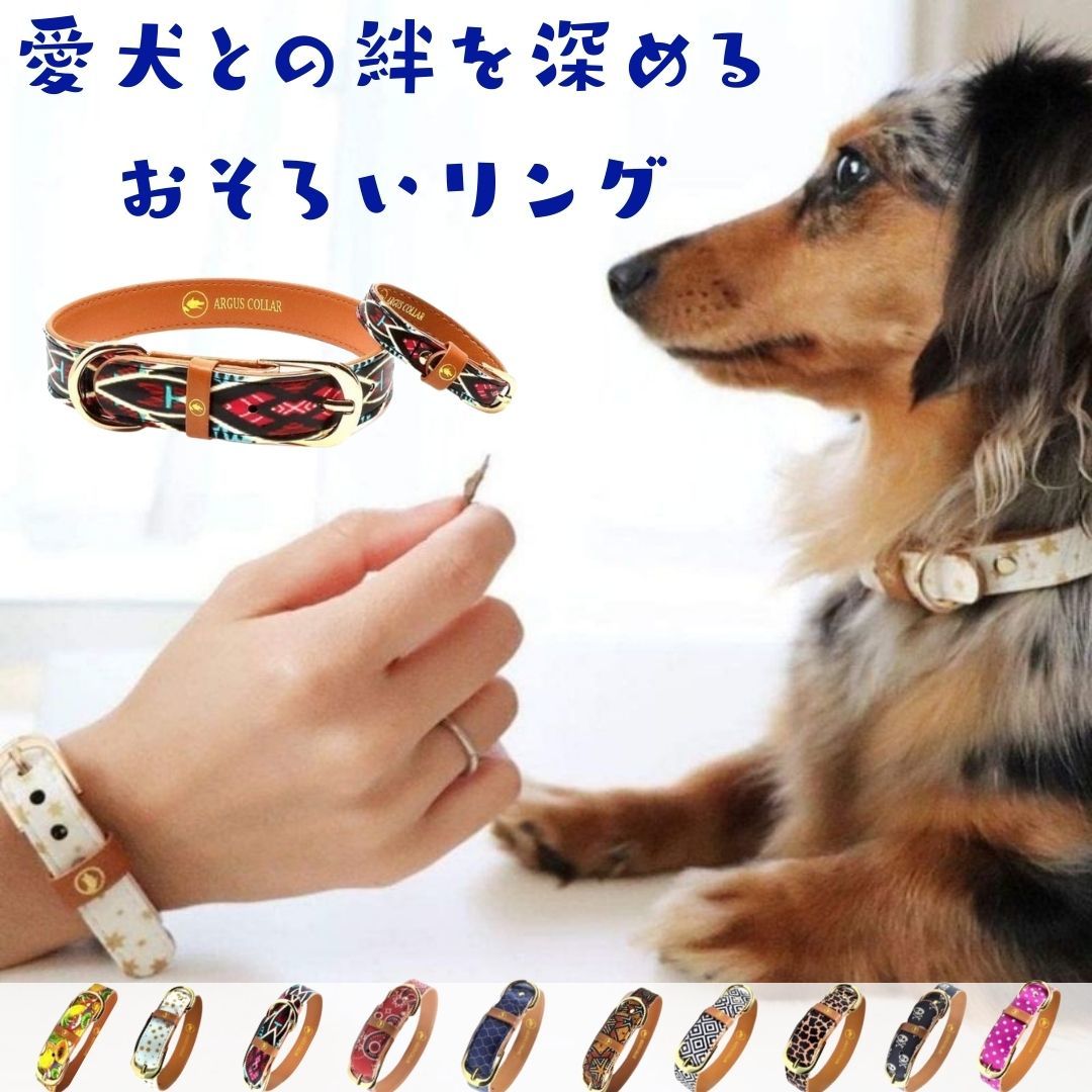 楽天市場 犬用 首輪 ブレスレット セット販売 犬とおそろい ペアリング おしゃれ かわいい やわらかい 痛くない ビーガンレザー 送料無料 大型犬 中型犬 小型犬 超小型犬 超大型犬 犬の首輪 ブランド プレゼント 贈り物 かっこいい オシャレ アルゴスカラー オジコペット