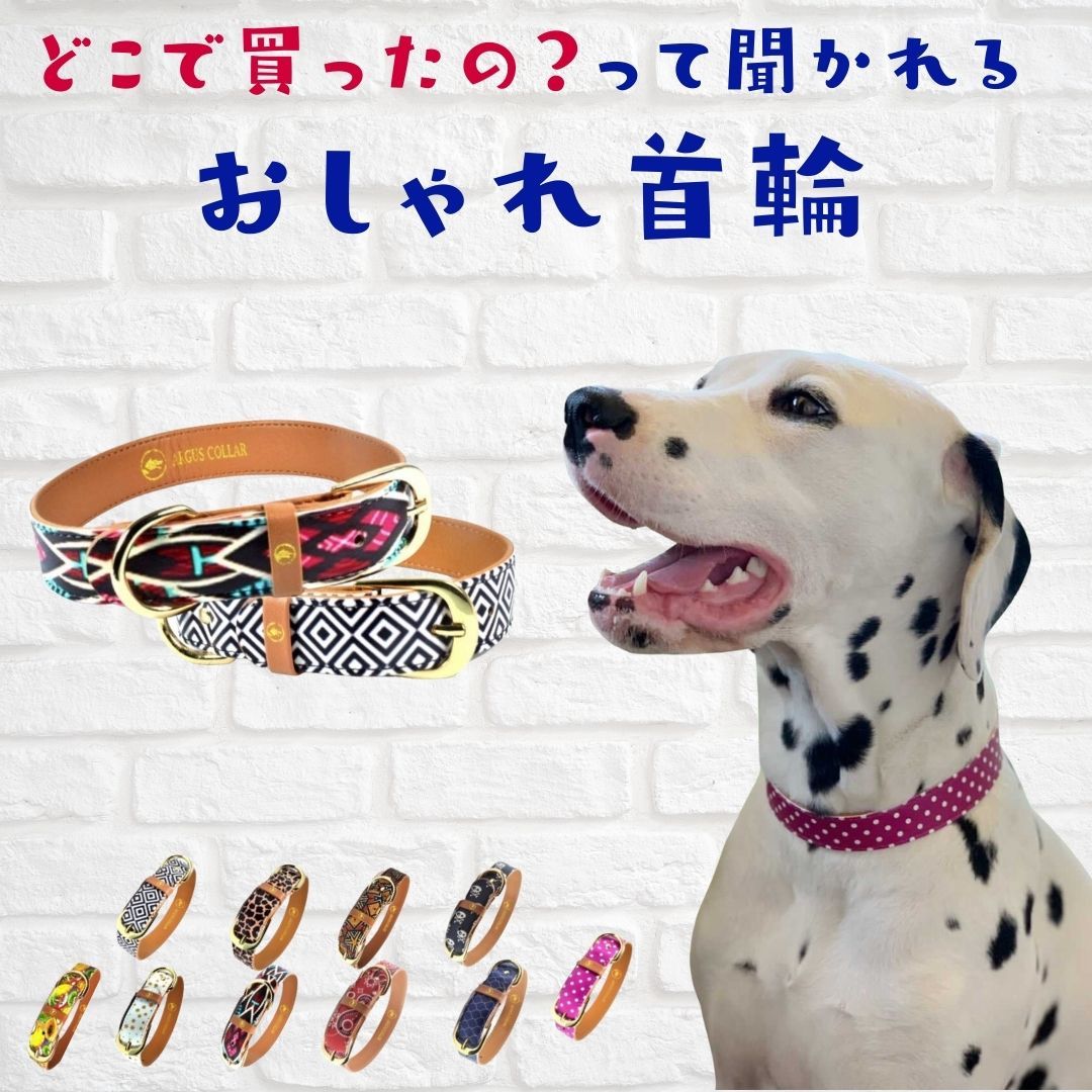 楽天市場 犬用 首輪 おしゃれ かわいい やわらかい 痛くない アルゴスカラー Arguscollar インスタ映え ビーガンレザー 大型犬 中型犬 小型犬 超小型犬 超大型犬 柴犬 フレンチブルドック ラブラドールレトリバー オジコペット