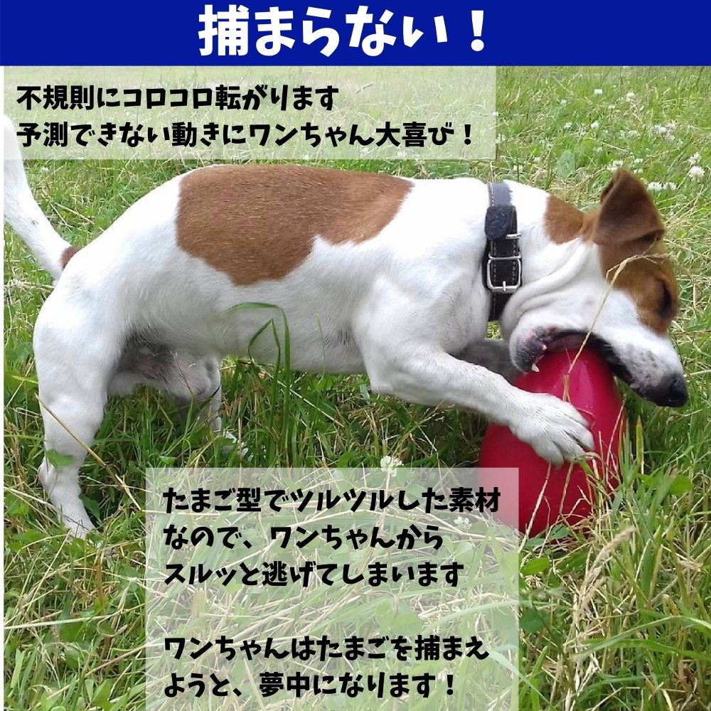 ジョリーエッグ L大いさ The Jolly Egg おもしろ 希覯ご種類丼 Jolly Pets ジョリーペット 間者使いみち 手あそび 固い ウオーターに浮遊 大型犬 中型犬 送料無料 からくりボール ジョリーボール Hotjobsafrica Org