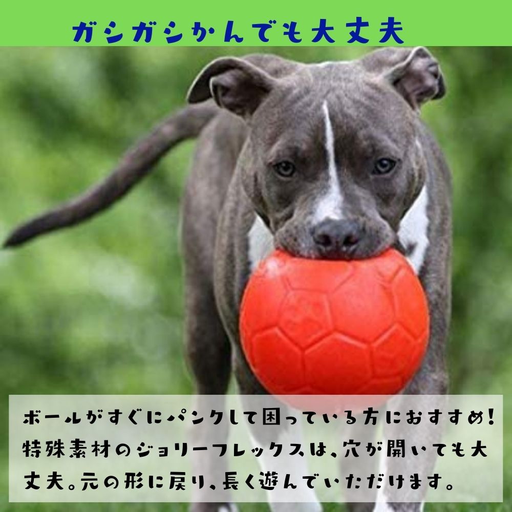 サッカーボール Lサイズ Jolly Soccer Ball犬用 ボール おもちゃ 壊れない 頑丈 丈夫 噛むおもちゃジョリーボール ジョリーペットjolly Pets 大型犬 中型犬 弾む 水に浮く オレンジ ブルー グリーン Giosenglish Com
