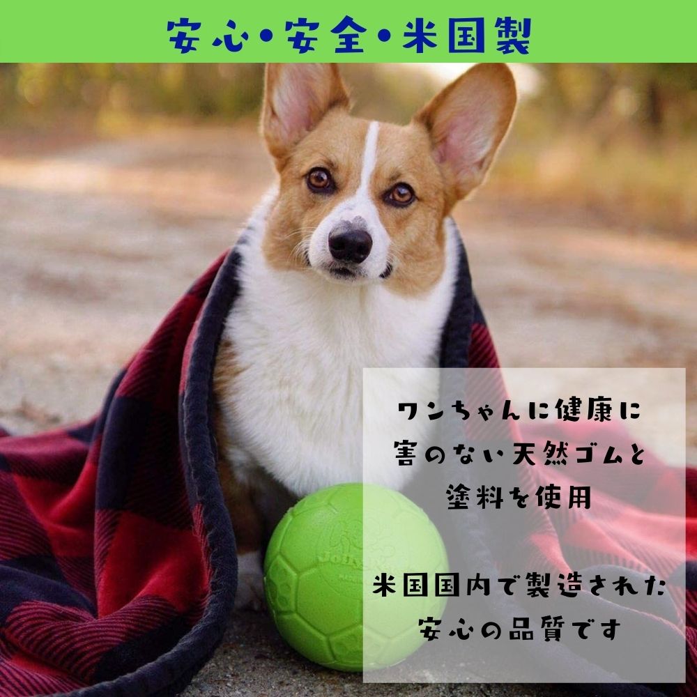 サッカーボール Lサイズ Jolly Soccer Ball犬用 ボール おもちゃ 壊れない 頑丈 丈夫 噛むおもちゃジョリーボール ジョリーペットjolly Pets 大型犬 中型犬 弾む 水に浮く オレンジ ブルー グリーン Giosenglish Com
