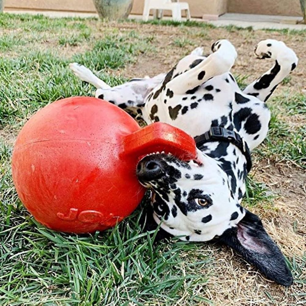 犬用 ボール ジョリーボール タグアンドトス もってこい 弾む 水に浮く 壊れない パンク知らず おもちゃ ジョリーペット 丈夫 弾む 壊れない 頑丈 丈夫 噛むおもちゃ 人気 送料無料 Tug Toss タグ トス Xl 25cm Ocrmglobal Com