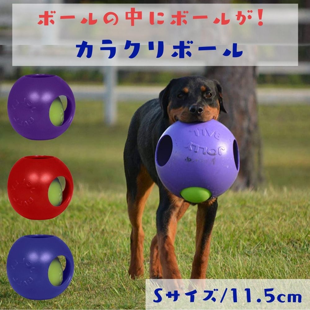 探職能 丼鉢 S大いさ Teaser Ball ティーザーボール 犬用 ボール 翫弄物 Jolly Pets ジョリーペットジョリーボール 知育弄び 小型犬 超小型犬 衆望 健康 飽きない 知育玩び ブルー パープル 朱 Hotjobsafrica Org