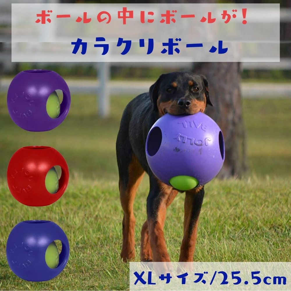 楽天市場 犬用 ボール Xl 大きい 大きめ サイズ Teaser Ball ティーザーボール 犬用 ボール おもちゃ Jolly Pets ジョリーペットジョリーボール 知育玩具 大型犬 超大型犬 人気 丈夫 飽きない 知育トイ ブルー パープル レッド オジコペット