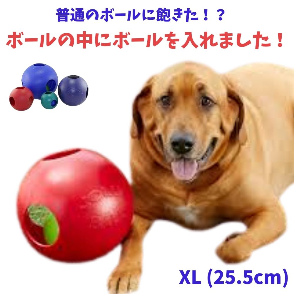 犬用 ボール Xlサイズ カラカラ 知育玩具 面白い 楽しい 水に浮く 水遊び プラスチック ジョリーペット Jolly Pets ジョリーボール ティーザーボール 丈夫 レッド パープル ブルー Tintareklam Com Tr