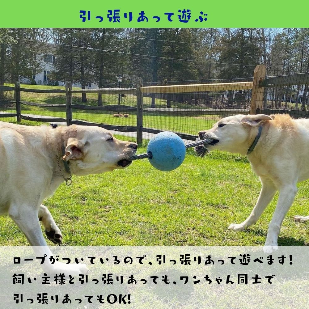 楽天市場 犬用 パンクしない 丈夫なボール Jolly Pets ジョリーペット Romp N Roll ロンプンロール ジョリーボール ロープ おもちゃ Jolly Pets ジョリーペット 投げるおもちゃ 噛むおもちゃ 弾む 中型犬 大型犬 超大型犬 送料無料 オジコペット