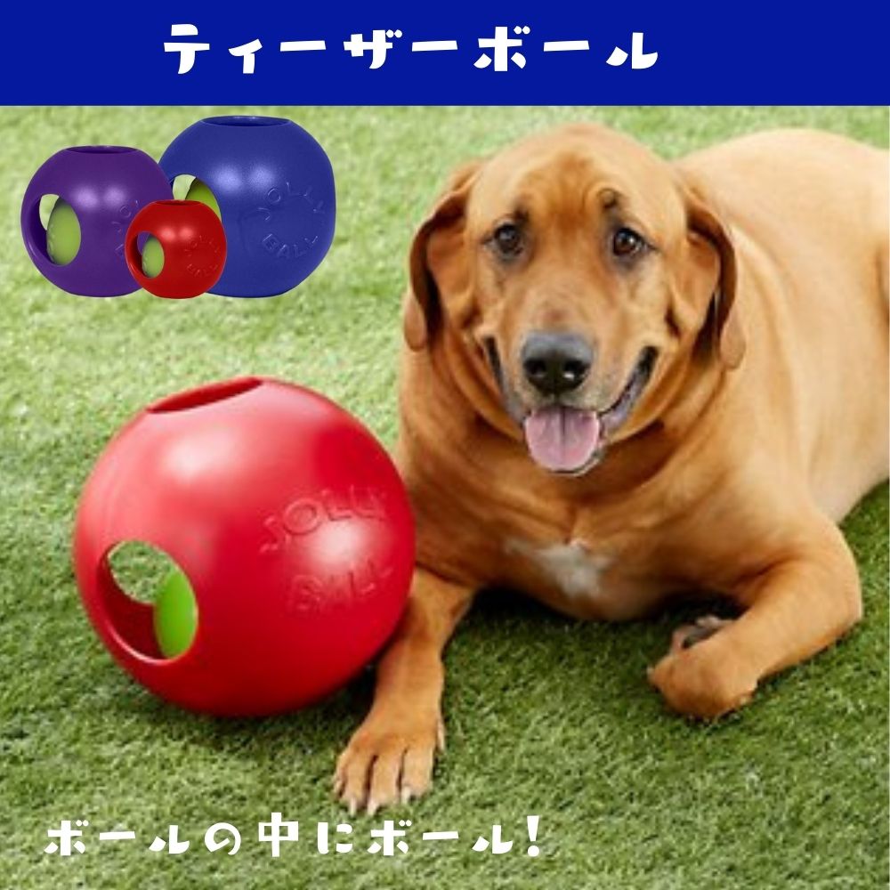 蹴球球 L大いさ Jolly Soccer Ball探狙 ボール 玩具 壊れない 安全 干城 噛むおもちゃジョリーボール ジョリーペットjolly Pets 大型犬 中型犬 飛びあがる 給水に浮く 柑子色 青色 緑 Doorswindowsstairs Co Uk