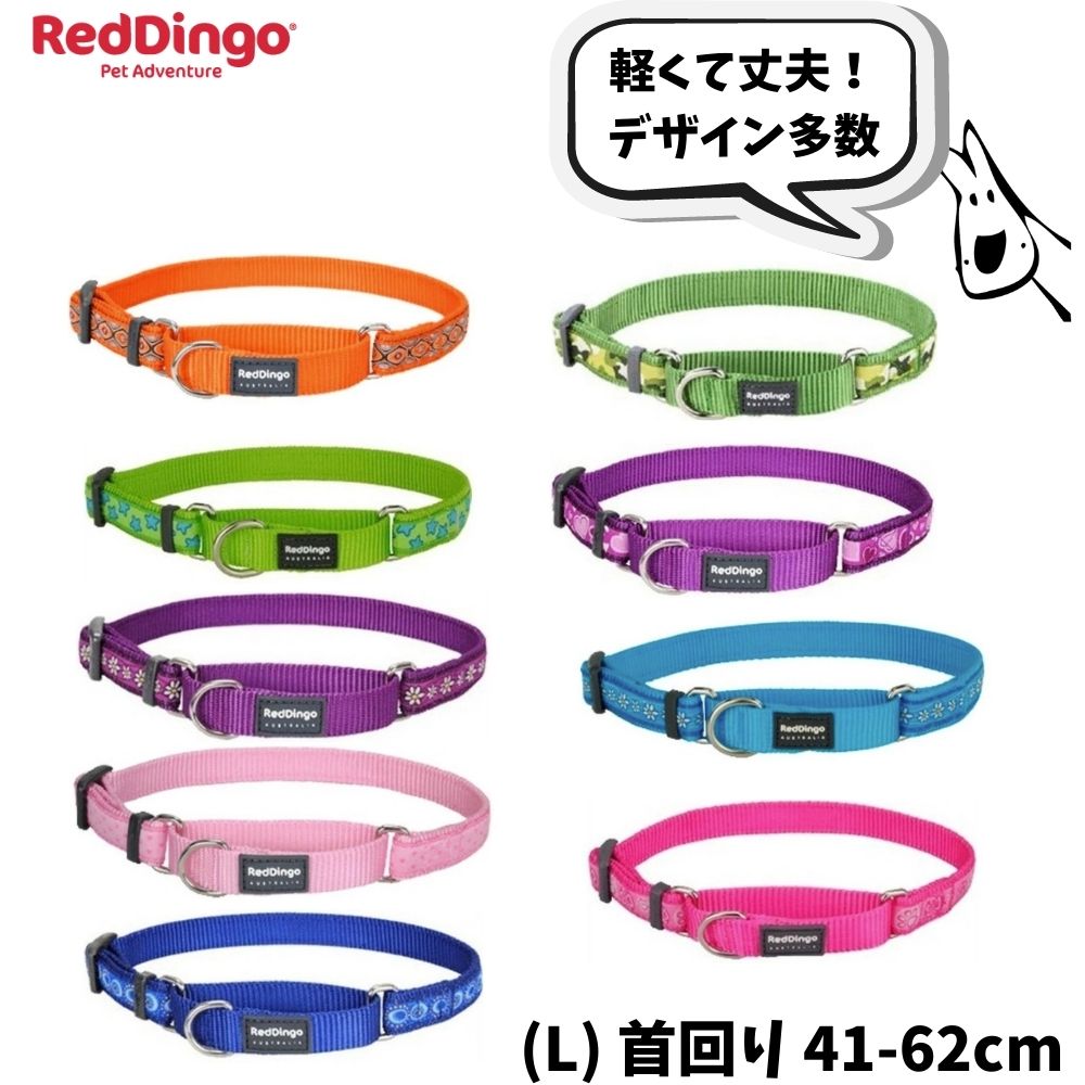 red dingo 首輪