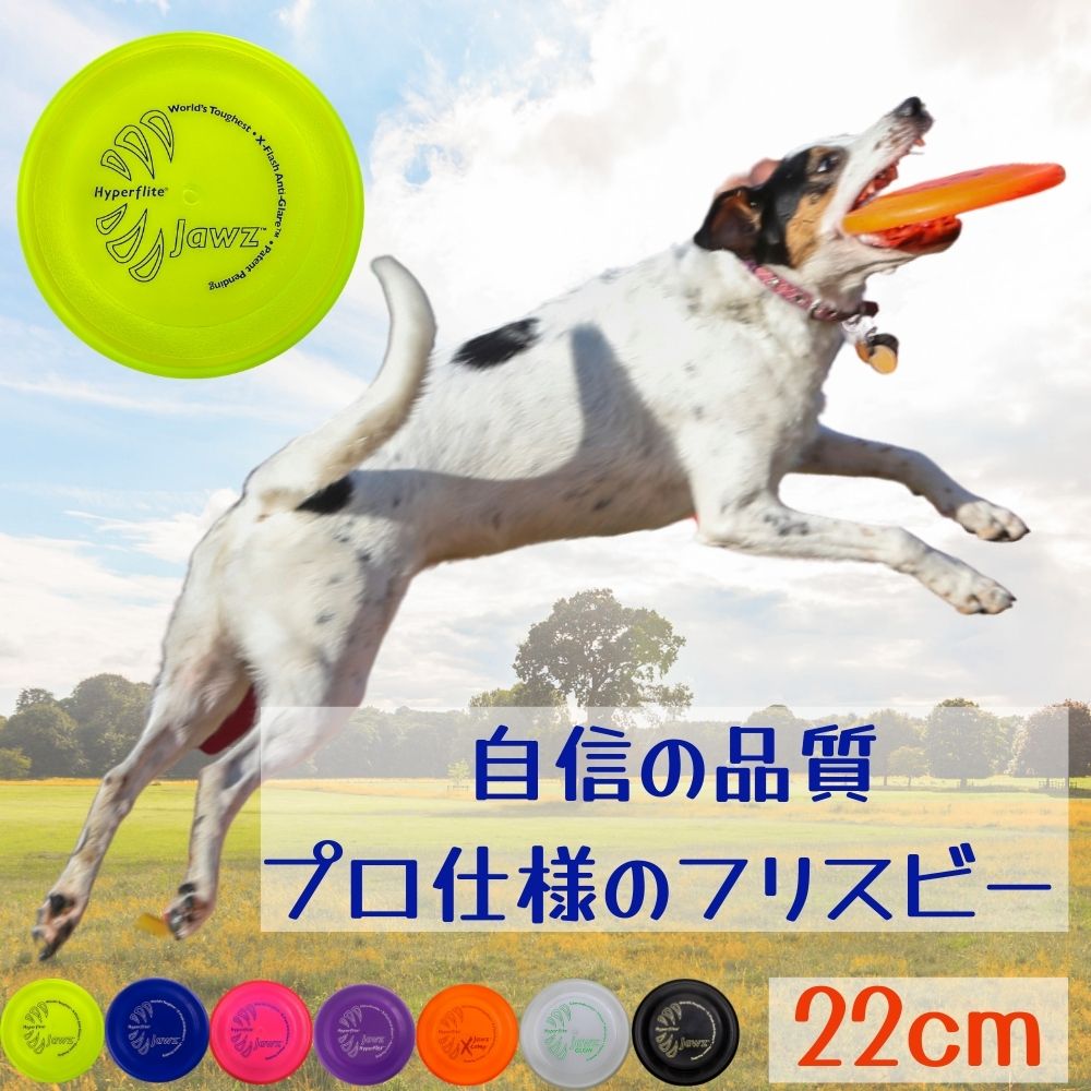 楽天市場 犬用 フリスビー 柔らかい 丈夫で長持ち プロ仕様 公式 大会 ハイパーフライト 犬用 フライヤー 投げるおもちゃ 軽い 頑丈 柔らかい やわらかい Jawz Disc ジョーズディスク 競技用 大型犬 中型犬 送料無料 Hyperflite 22cm オジコペット