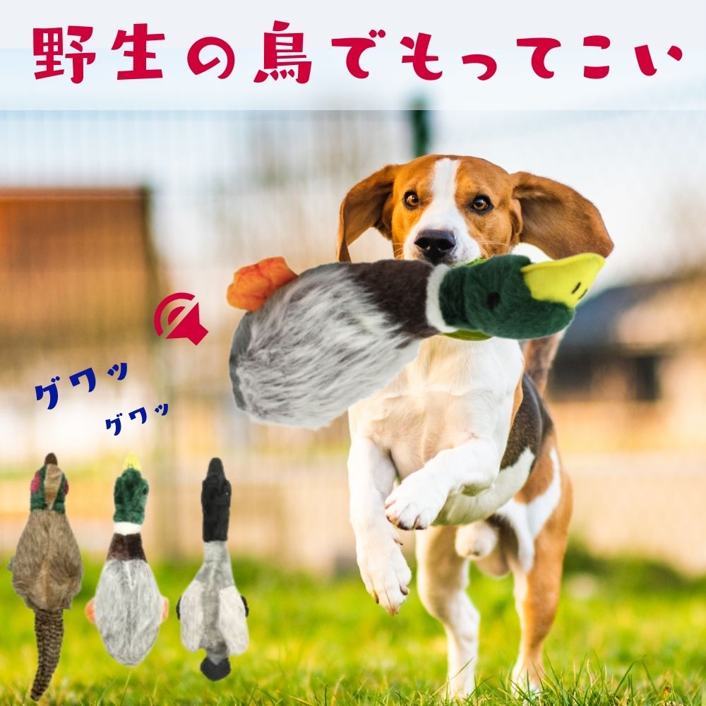 市場 2点で500円オフ 犬用 Sサイズ ウルトラスボール ラバーボール 2つセット