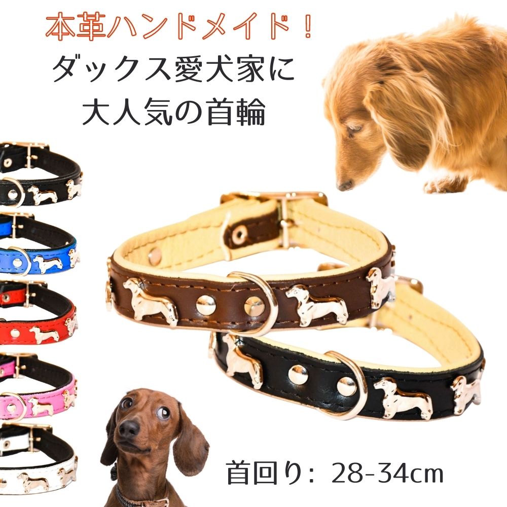 楽天市場】ZOOleszcz (ゾーレシチ) 犬用 首輪 (首回り: 35-41cm / 幅