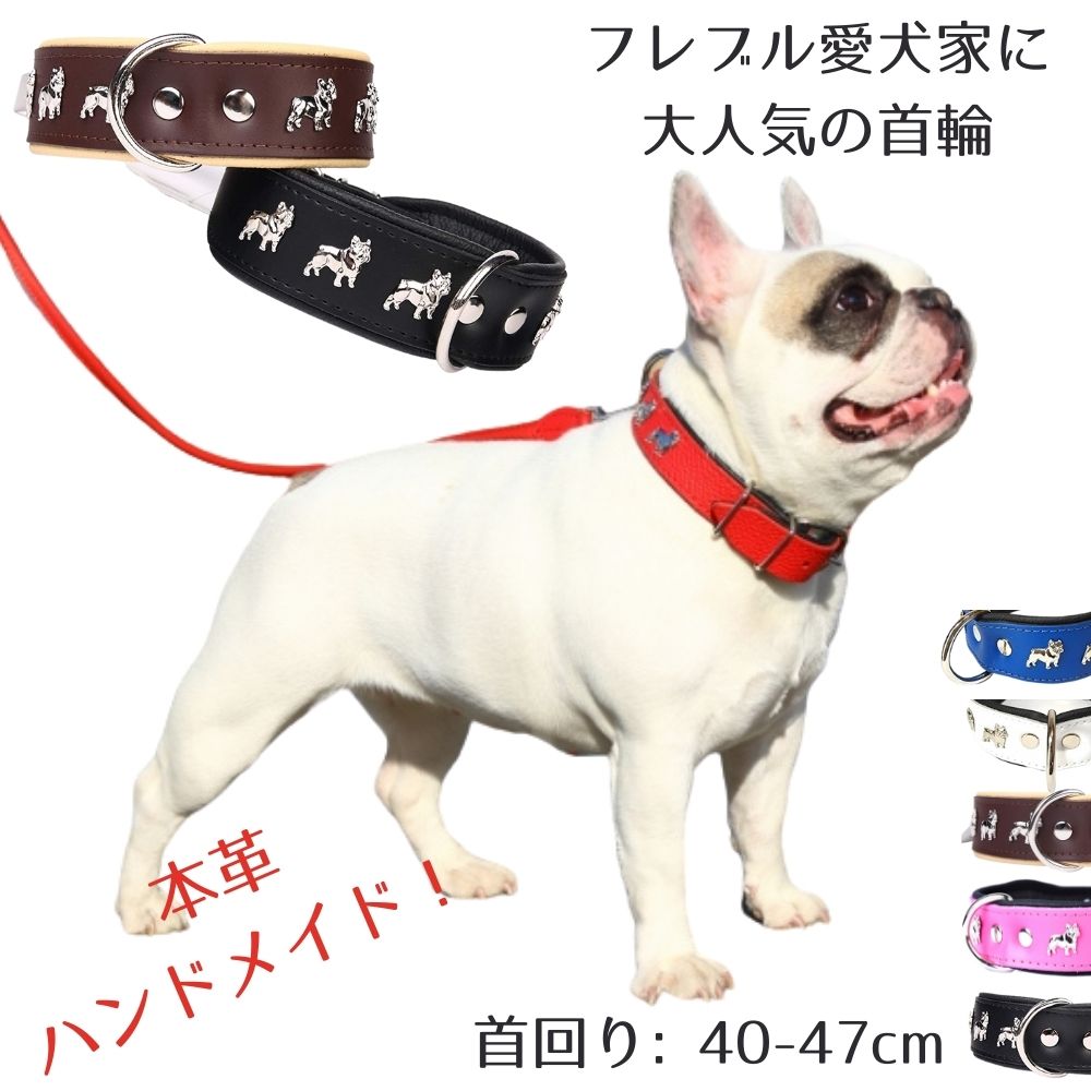 楽天市場】犬用 首輪 (首回り: 45-53cm / 幅: 4cm) フレンチブルドッグのデザイン 本革 革製 ポーランド製 フレブル 首輪【304】ZOOleszcz  (ゾーレシチ) : オジコペット