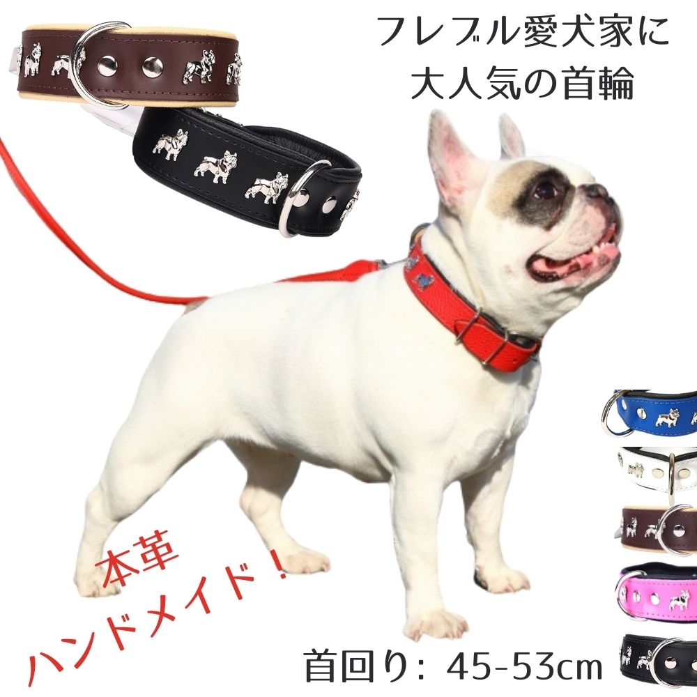 楽天市場】ZOOleszcz (ゾーレシチ) 犬用 首輪 (首回り: 40-47cm / 幅