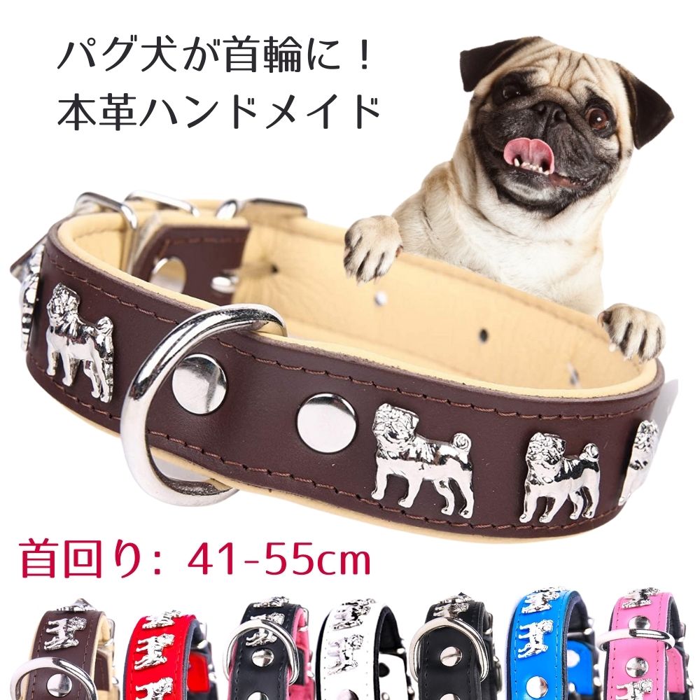 楽天市場】ZOOleszcz (ゾーレシチ) 犬用 首輪 (首回り: 28-34cm / 幅