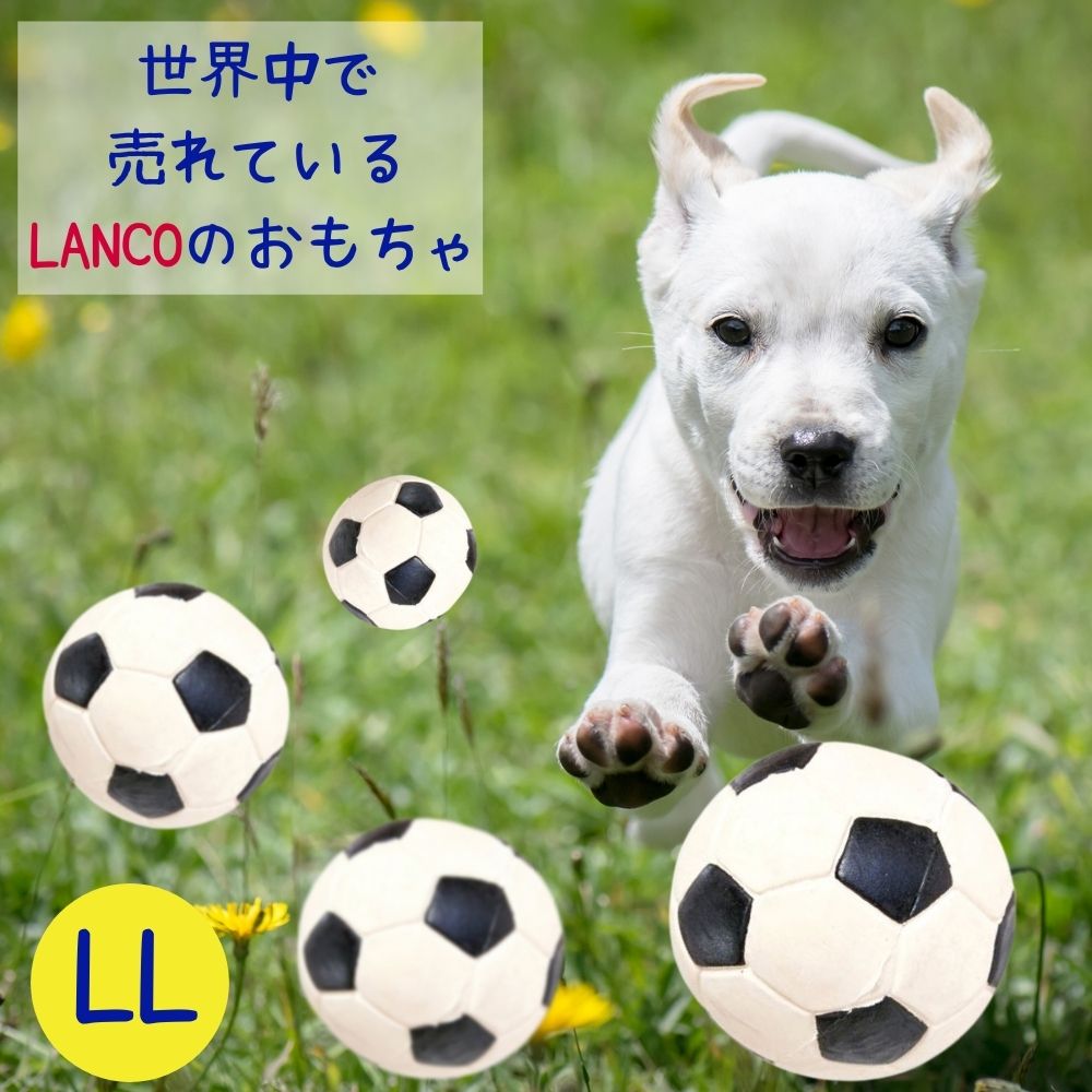 楽天市場 2点購入で Offクーポン Lanco ランコ犬用 ボール おもちゃ 音がなる サッカーボール スクイーカー Llサイズ 丈夫 頑丈 壊れない 小型犬 大型犬 中型犬 オジコペット