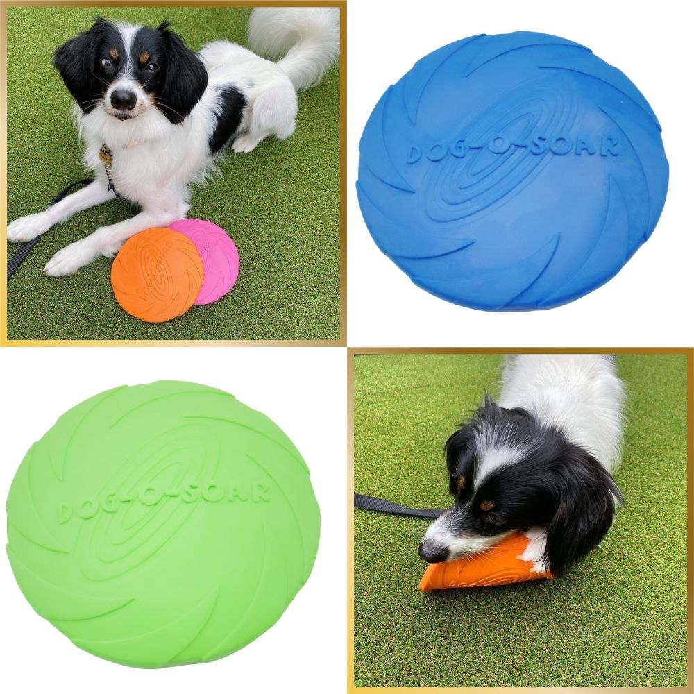 市場 犬用 フリスビー 柔らかい 2枚セット Lサイズ キャッチしやすい 水に浮く