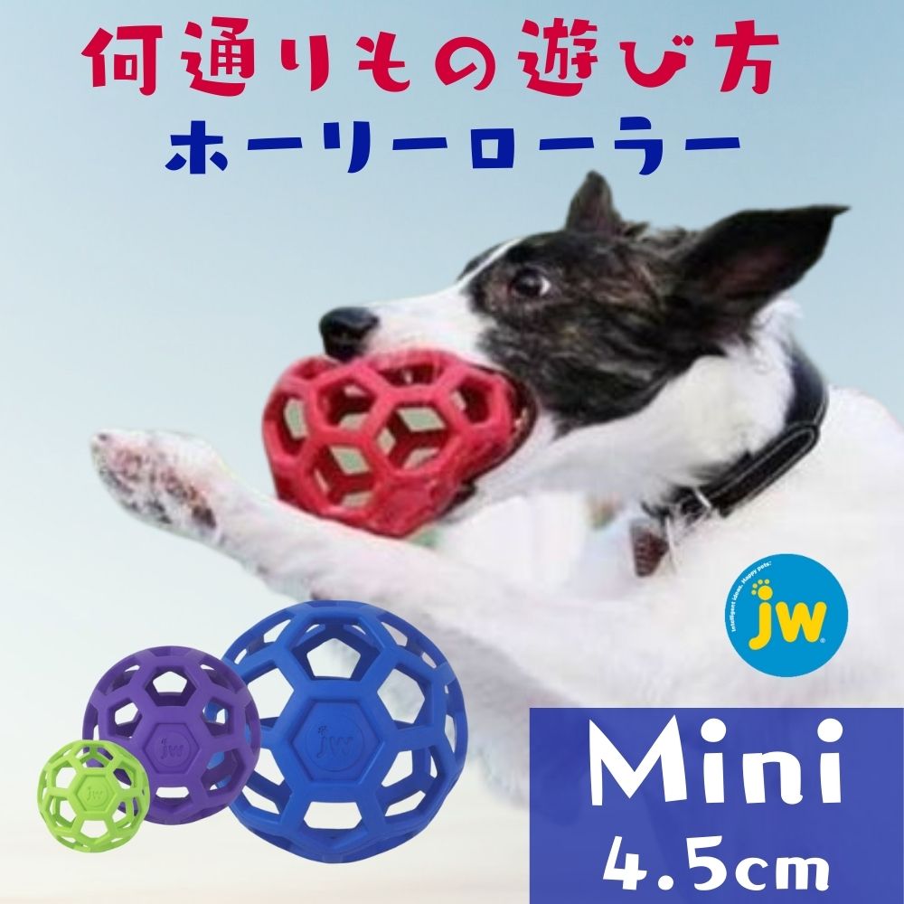 Jwpet全品2評価買とりで30 オフ 1000丸ポッキリ 回者用事 ボウル ホーリーローラー ミニサイズ 手遊び 生ゴム トリーツボール 知育遊び道具 いい タフ 張りさけるしない Jwラッパ貴社 Jw Pet Hol Ee Roller 赤色 パープル ブルー パッティンググリーン 小型犬 超小型犬