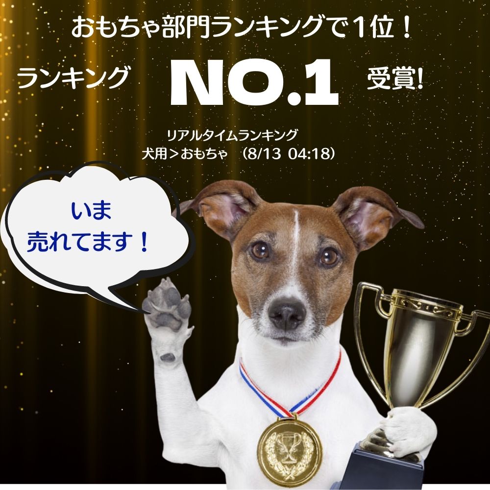 市場 犬用 フリスビー 柔らかい 2枚セット Lサイズ キャッチしやすい 水に浮く