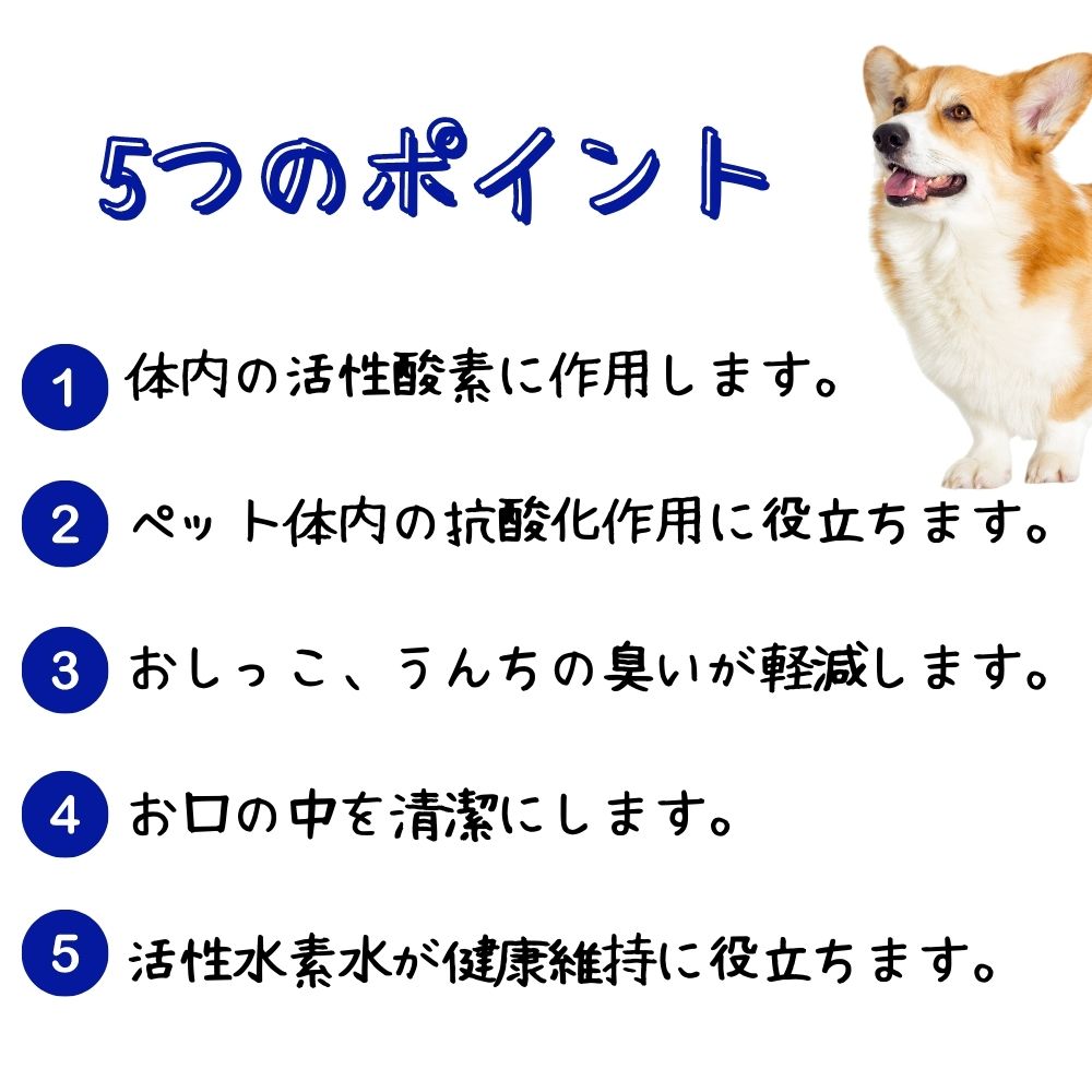 最大62 オフ ポチの水 詰め替え用 希釈飲用水 0cc 犬用 口臭 健康 ペット用 ウォーター 小型犬 中型犬 大型犬 Toyama Nozai Co Jp