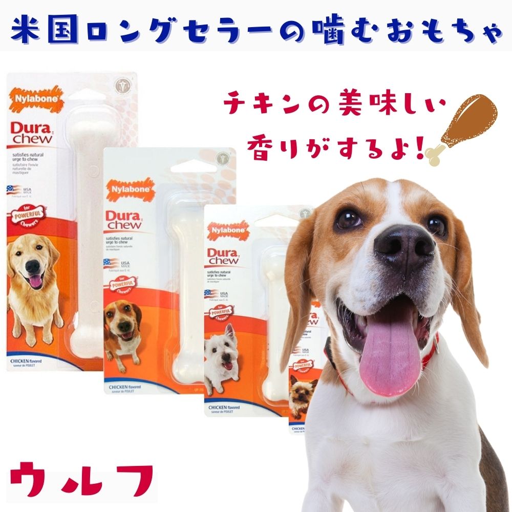 楽天市場】[ナイラボーン2点300円オフ, 3点800円オフ]Nylabone ナイラボーン 犬用 噛むおもちゃ 骨型 ボーン [パワーチュー]  DURACHEW PETITE チキンフレーバー 不安 ストレス 解消 小型犬 NCF101P : オジコペット