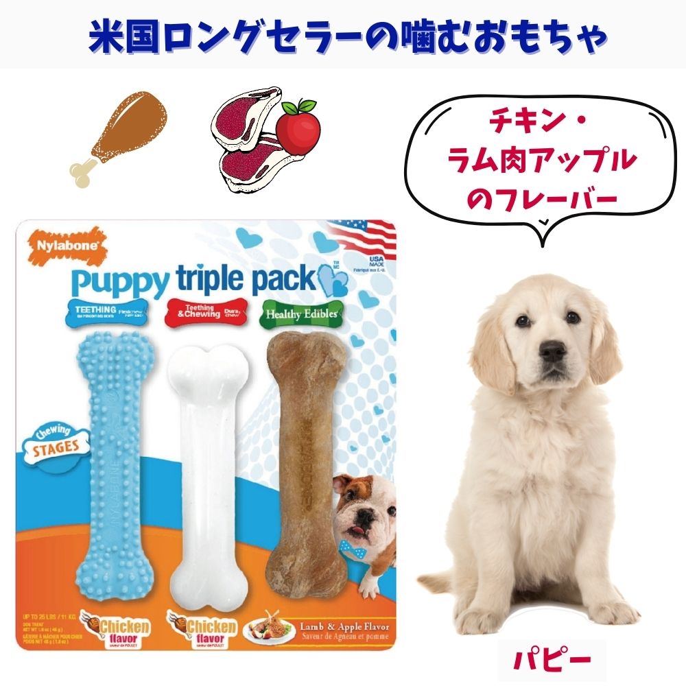 市場 ナイラボーン2点300円オフ, 2本セット Nylabone 犬用 ナイラボーン 骨型 噛むおもちゃ 3点800円オフ