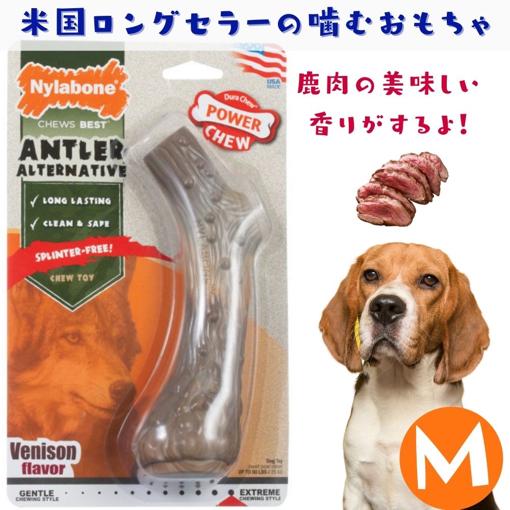 楽天市場】Nylabone ナイラボーン 犬用 噛むおもちゃ 鹿の角型 ボーン