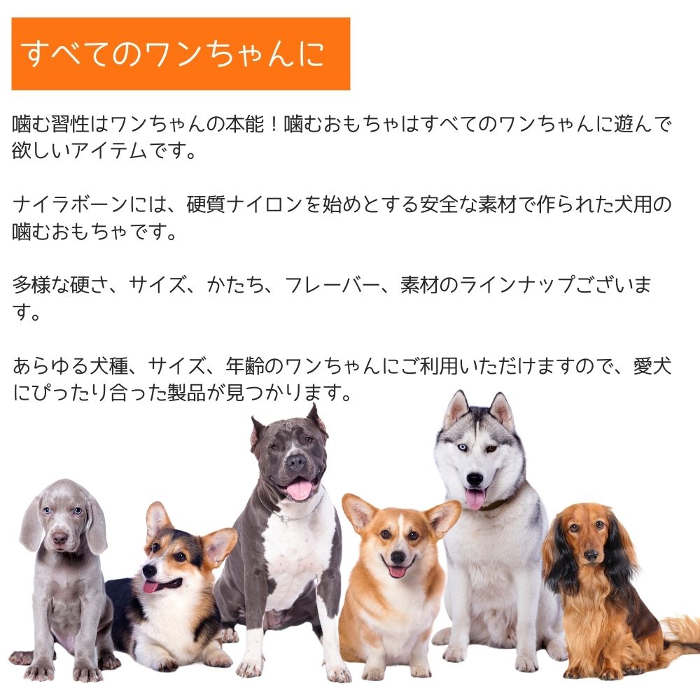 市場 ナイラボーン2点300円オフ, 2本セット Nylabone 犬用 ナイラボーン 骨型 噛むおもちゃ 3点800円オフ