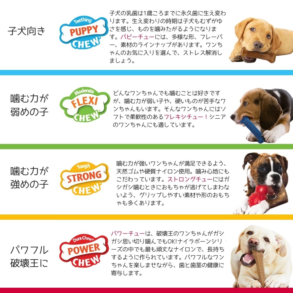 市場 ナイラボーン2点300円オフ, 2本セット Nylabone 犬用 ナイラボーン 骨型 噛むおもちゃ 3点800円オフ